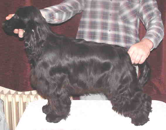 Kuba - January 2005