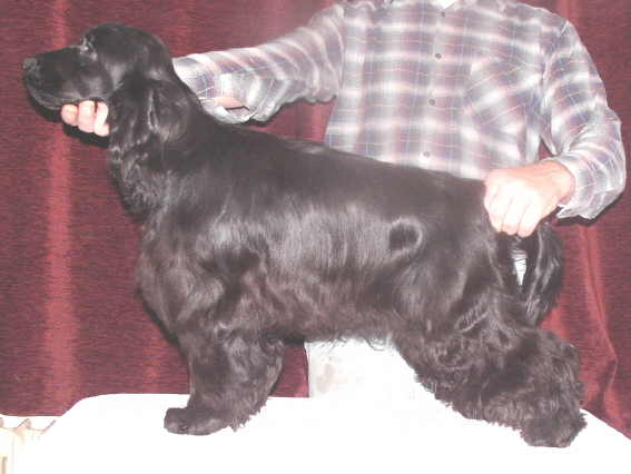 Kuba - January 2005